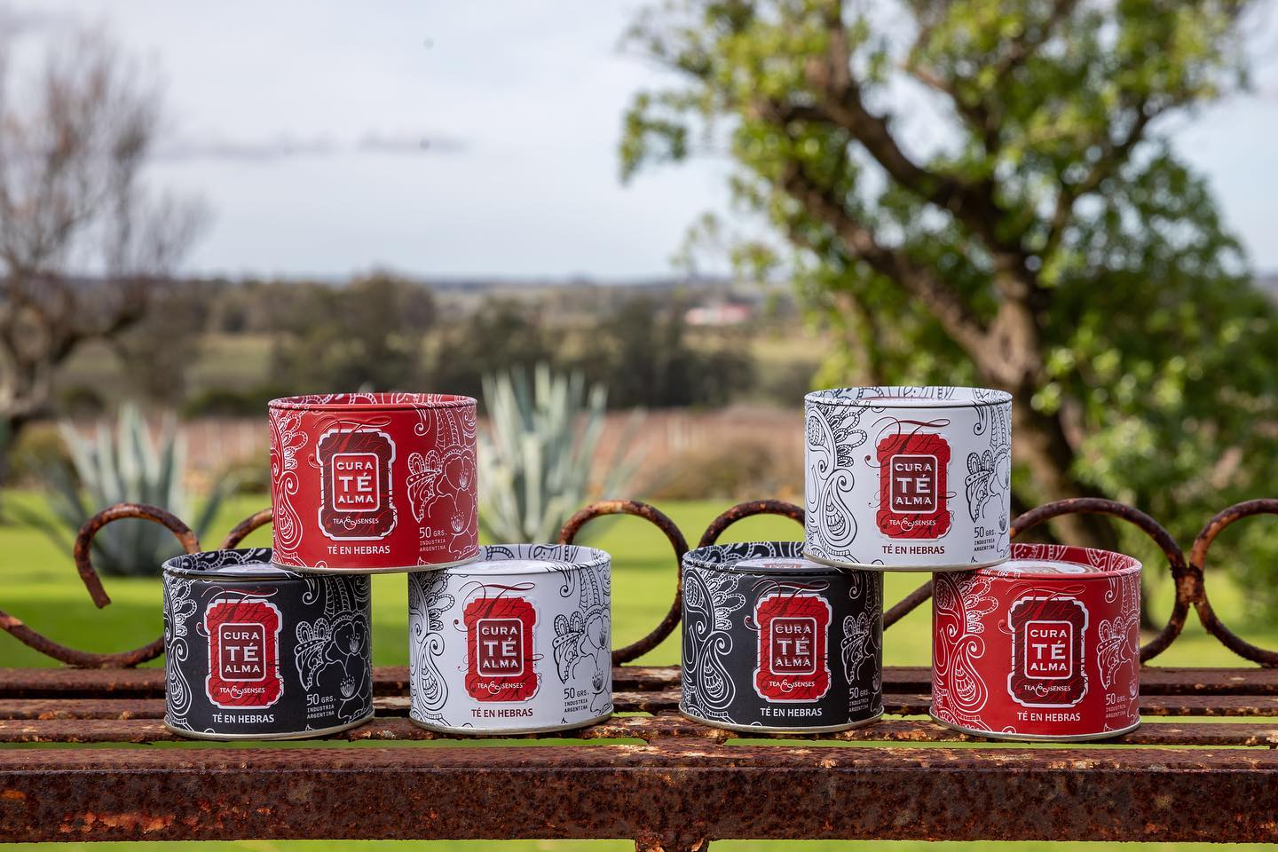 Beneficios del té puro Cura Té Alma