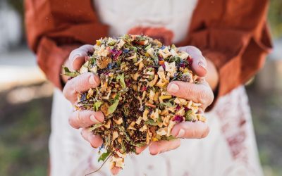 Nuestros blends, un tour de sentidos